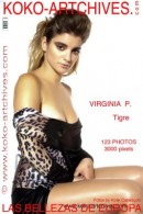 Virginia Perez nude aka Virginia P at theNude.com
ICGID: VP-00A2