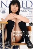 Wakaba Aono nude from Naked-art at theNude.com
ICGID: WA-00HH